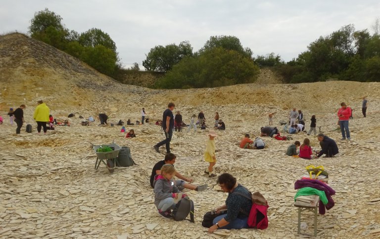 Ferienprogramm 2025_Fossilien 2
