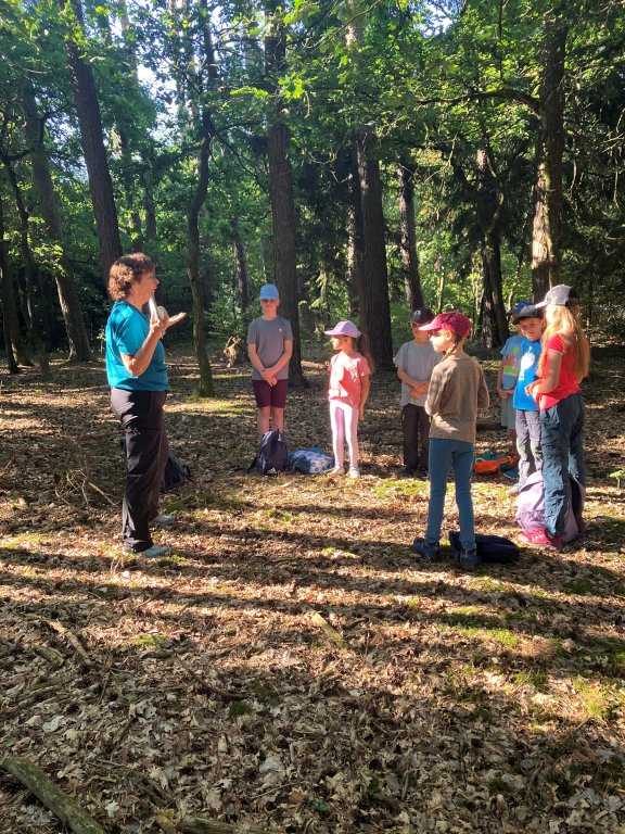 Ferienprogramm 2026_Wald 1