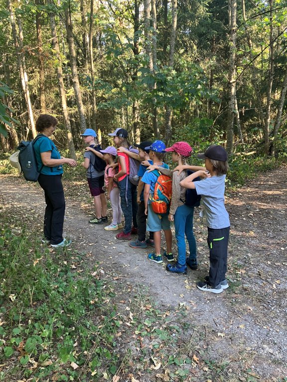 Ferienprogramm 2026_Wald 2 Ferienprogramm 2026_Wald 2