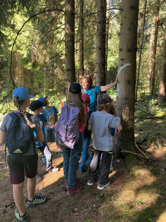 Ferienprogramm 2026_Wald 3