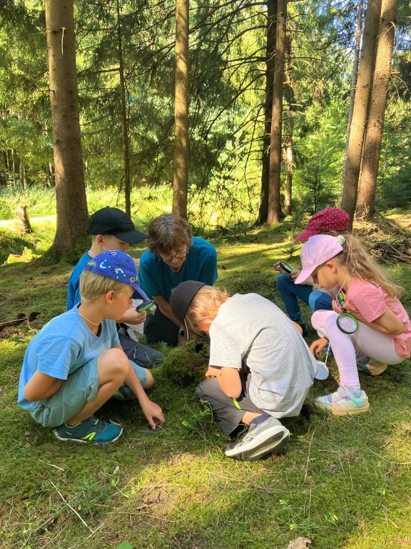 Ferienprogramm 2026_Wald 4 Ferienprogramm 2026_Wald 4